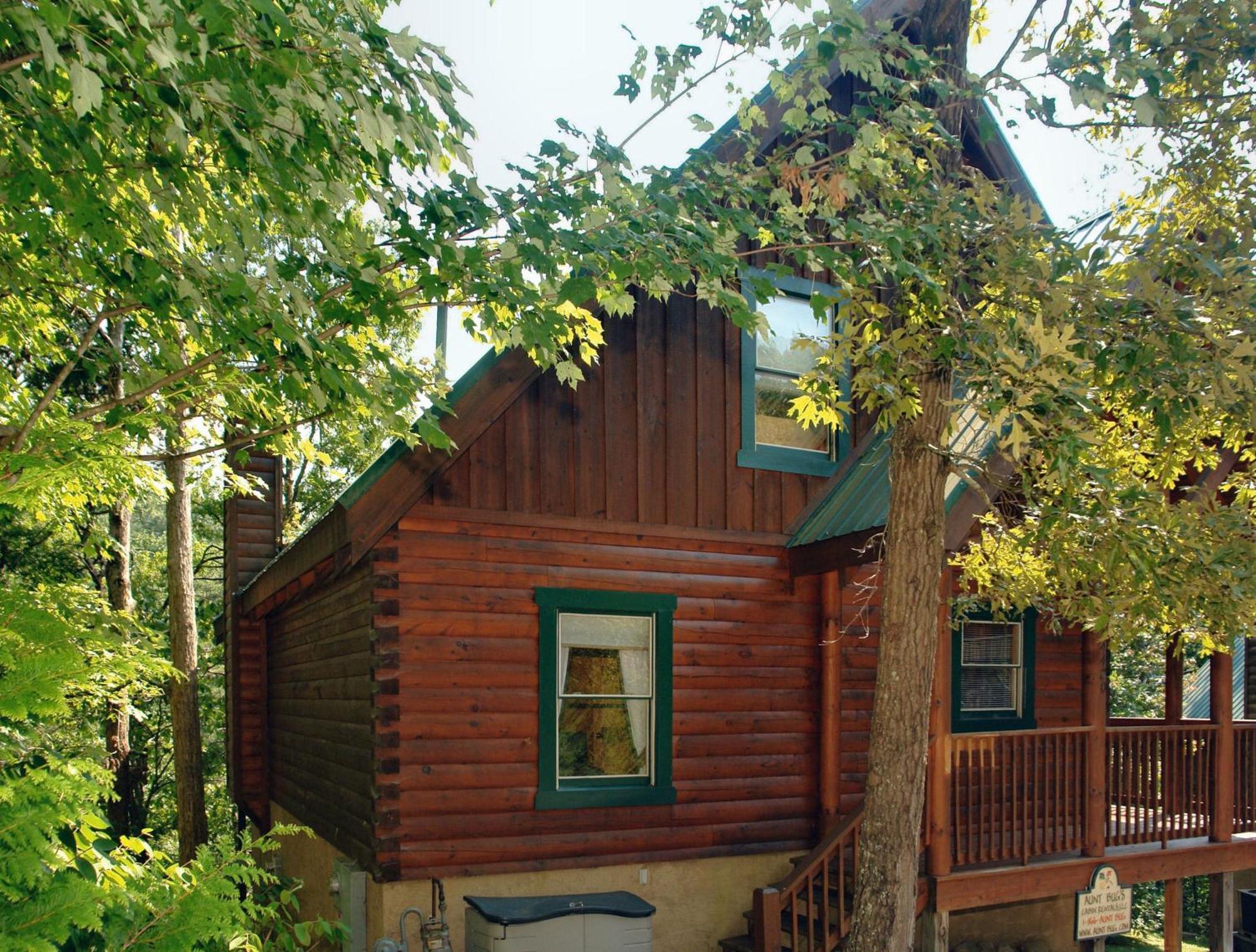 Buddy Bear #249 Pigeon Forge Exterior photo